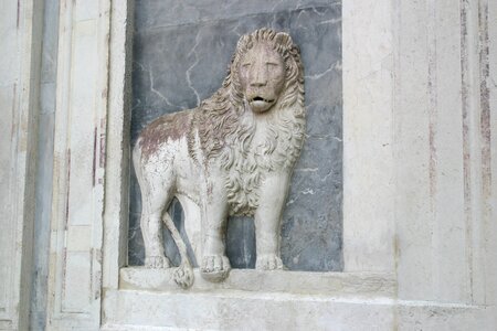 Lion italy sculpture photo