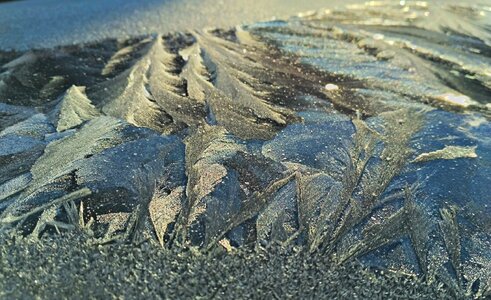 Winter eiskristalle frozen photo