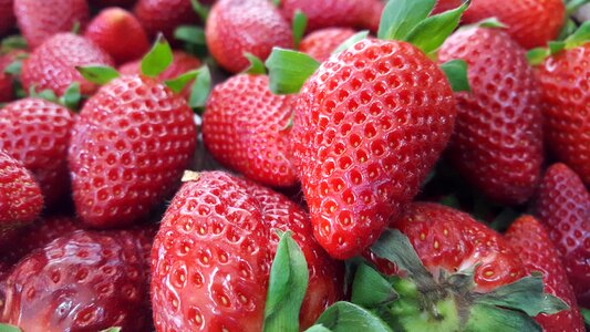 Strawberry red strawberry fruit photo