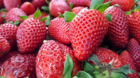Strawberry red strawberry fruit