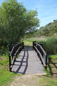 Water marshes marshland