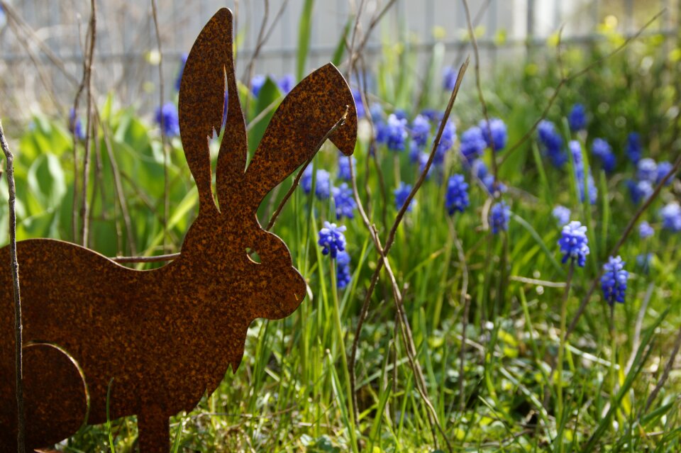 Hare spring spring festival