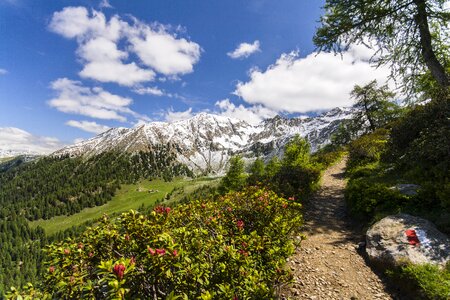 Hike mountains alprose