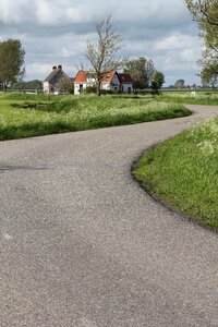 Farm the netherlands summer