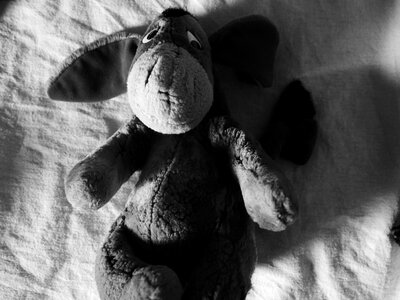 Black white toy