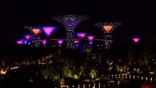 Singapore marina trees