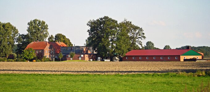 Mast system manor house agriculture