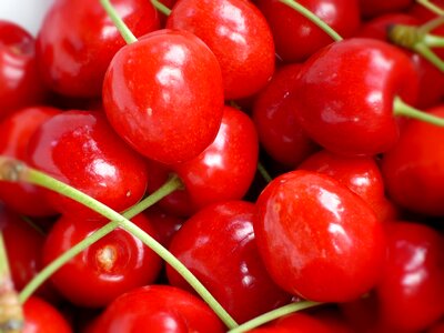 Tasty spring red spring