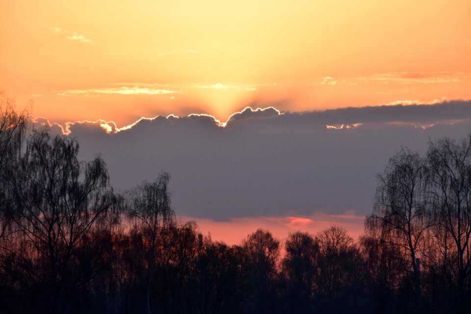 Nature sky morning photo