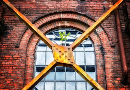 Wall plant tender photo