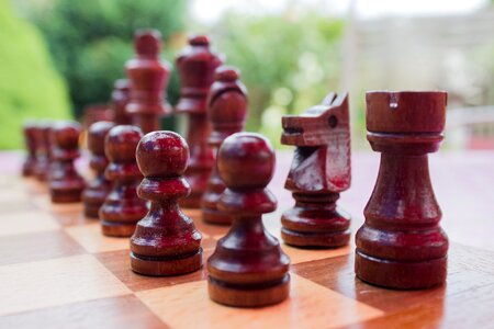 Wood game outdoor
