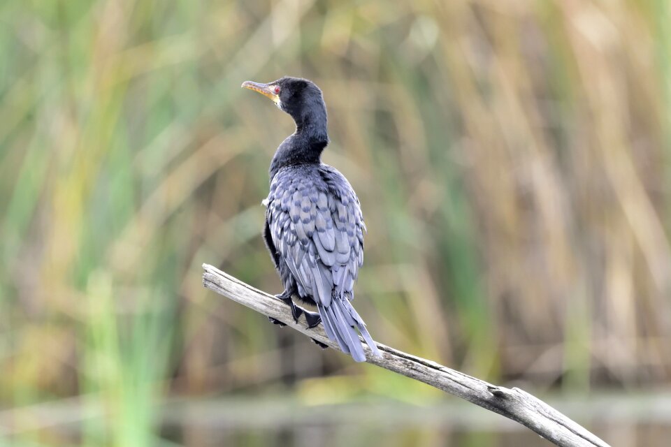 Wildlife sanctuary