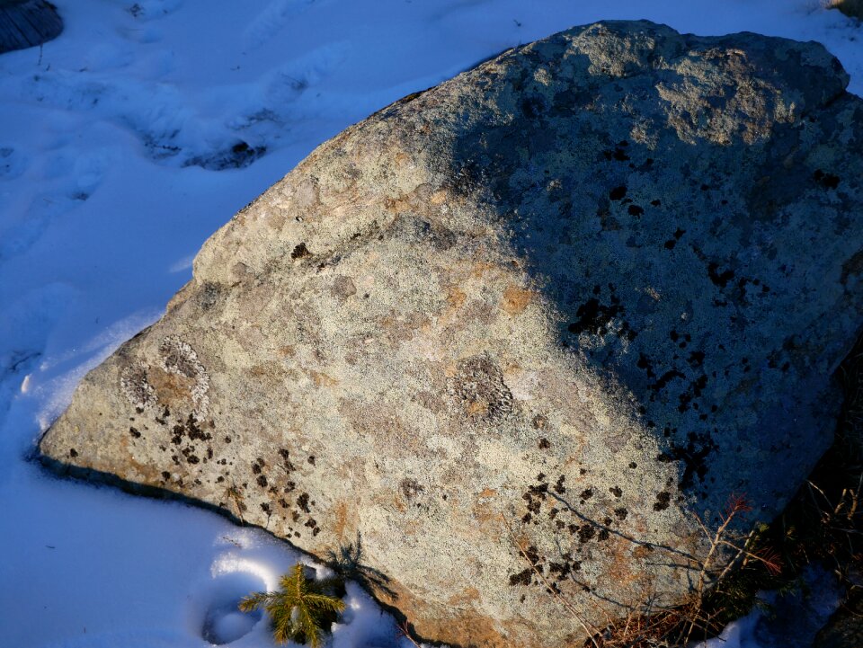 Rocks steinig geology