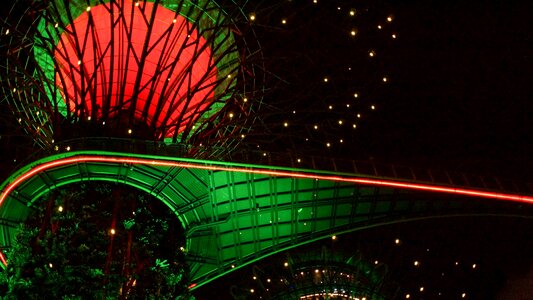 Singapore show night