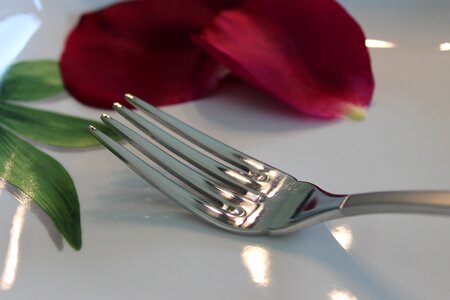 Fork pink petal