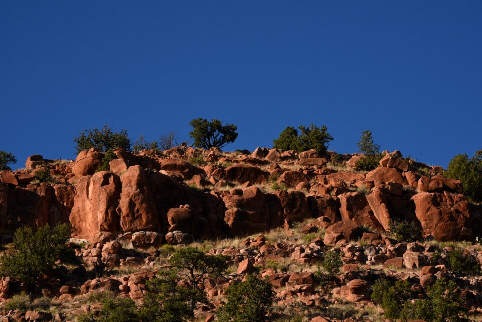 Scenic blue sky treeline