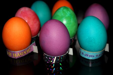 Easter easter eggs eggs photo