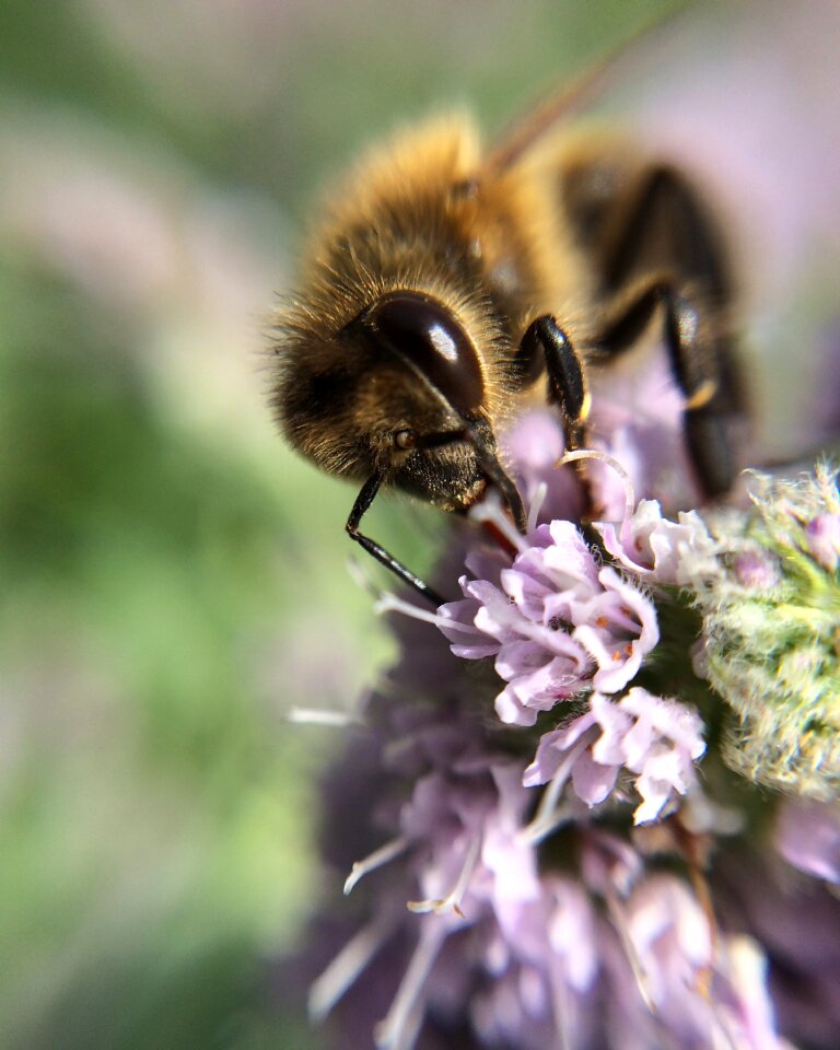 At work nature spring
