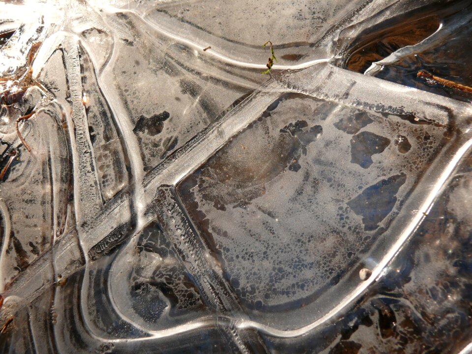 Winter nature art