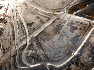 Winter nature art