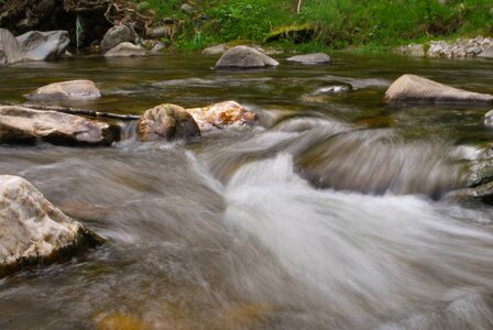 Quick stones nature photo