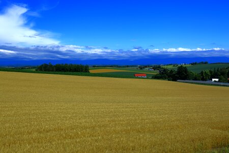 Harvest in the fall japanese autumn scenery