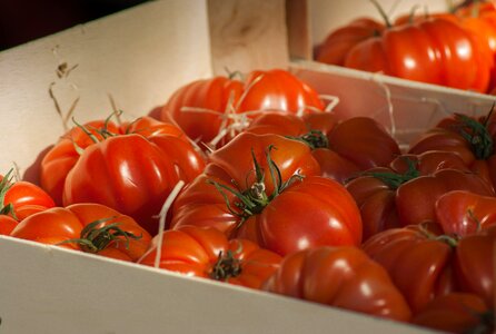 Market vegetable vegetable garden