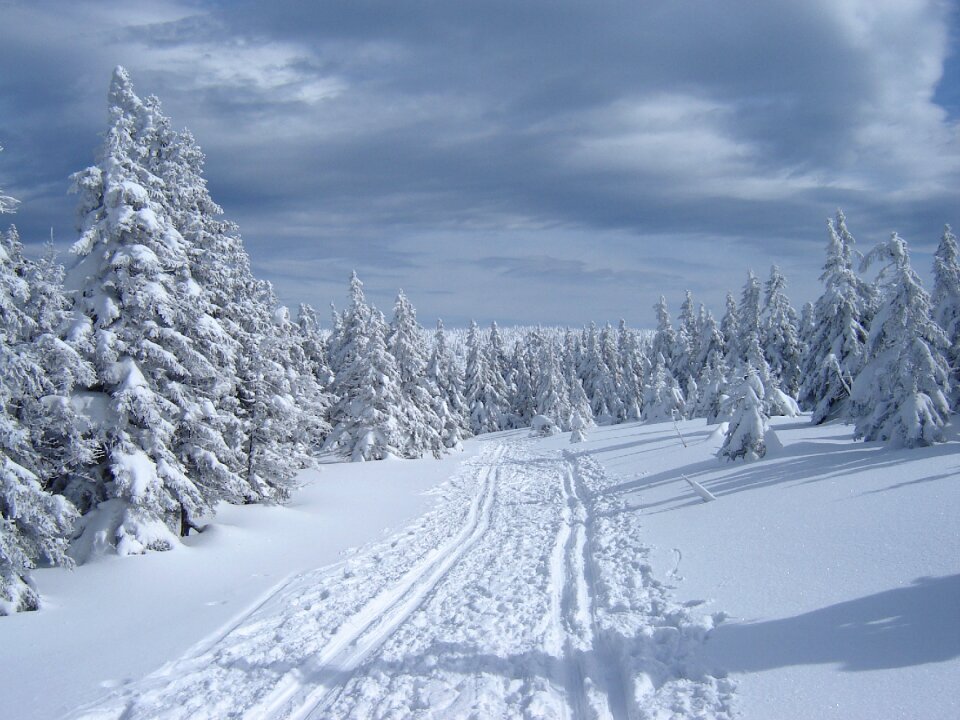 Winter path snow photo
