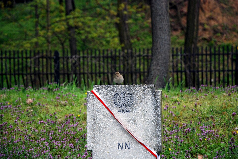 Bird memory monument
