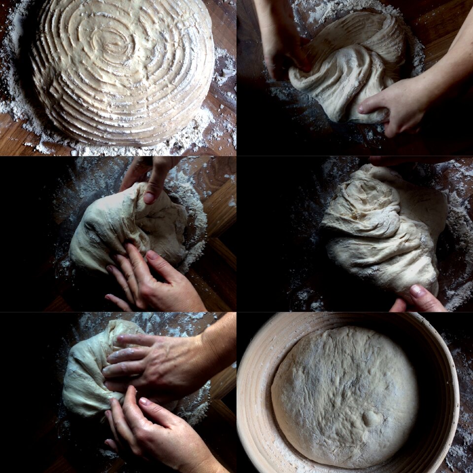 Food cooking homemade