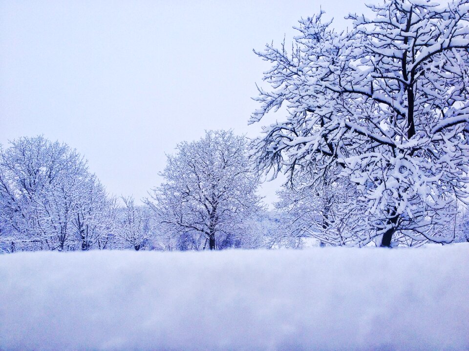 Cold christmas