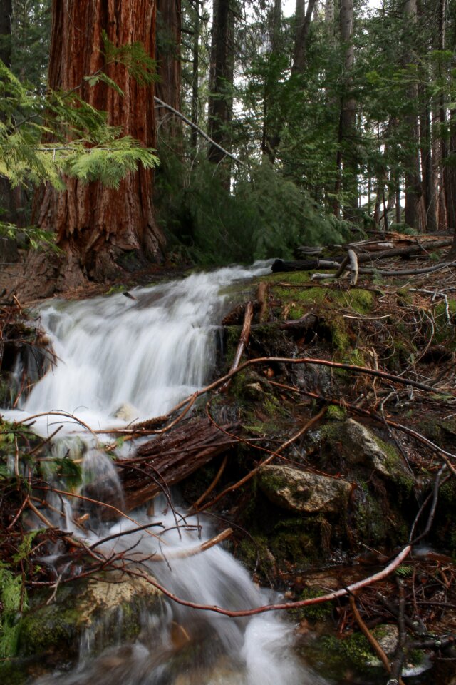 Nature national usa