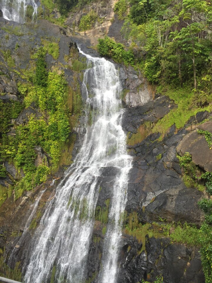 Waterfall green nature