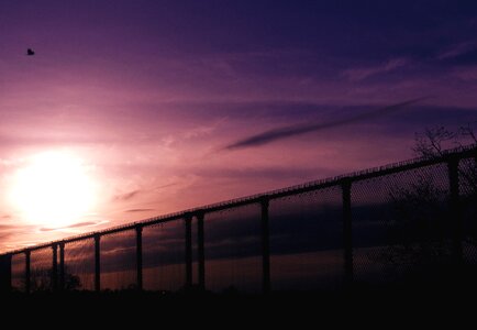 Purple sunset warm