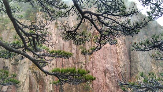 Huangshan the scenery cloud