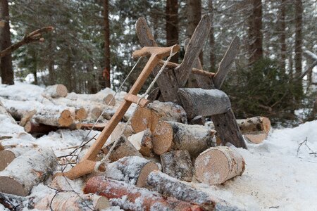 Wood winter