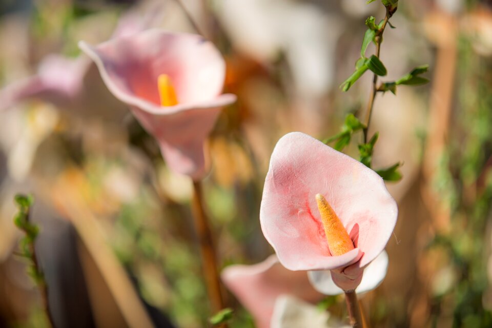 Bloom earthenware ornamental plant