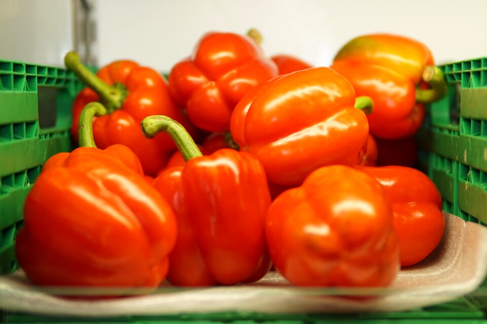 Pepper vegetable fresh