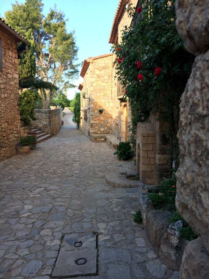 Landscape montsant priorat