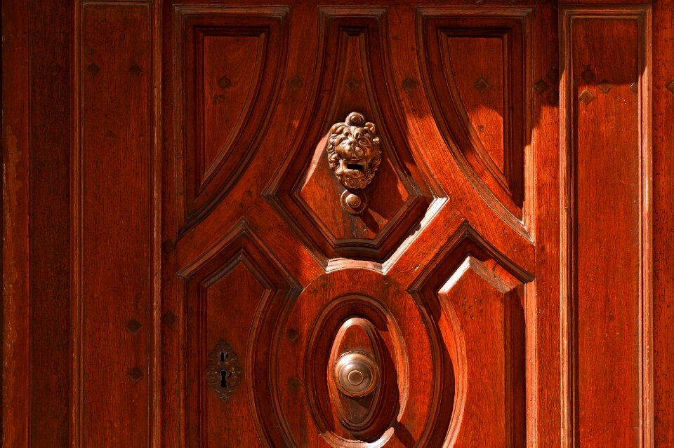 Handle copper lion