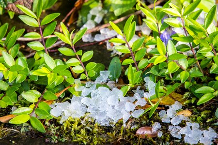 Hailstones great balls of fire ice lumps