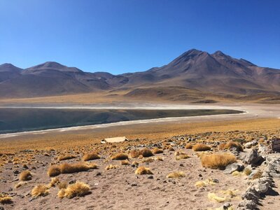 Atacama lagoon plateu