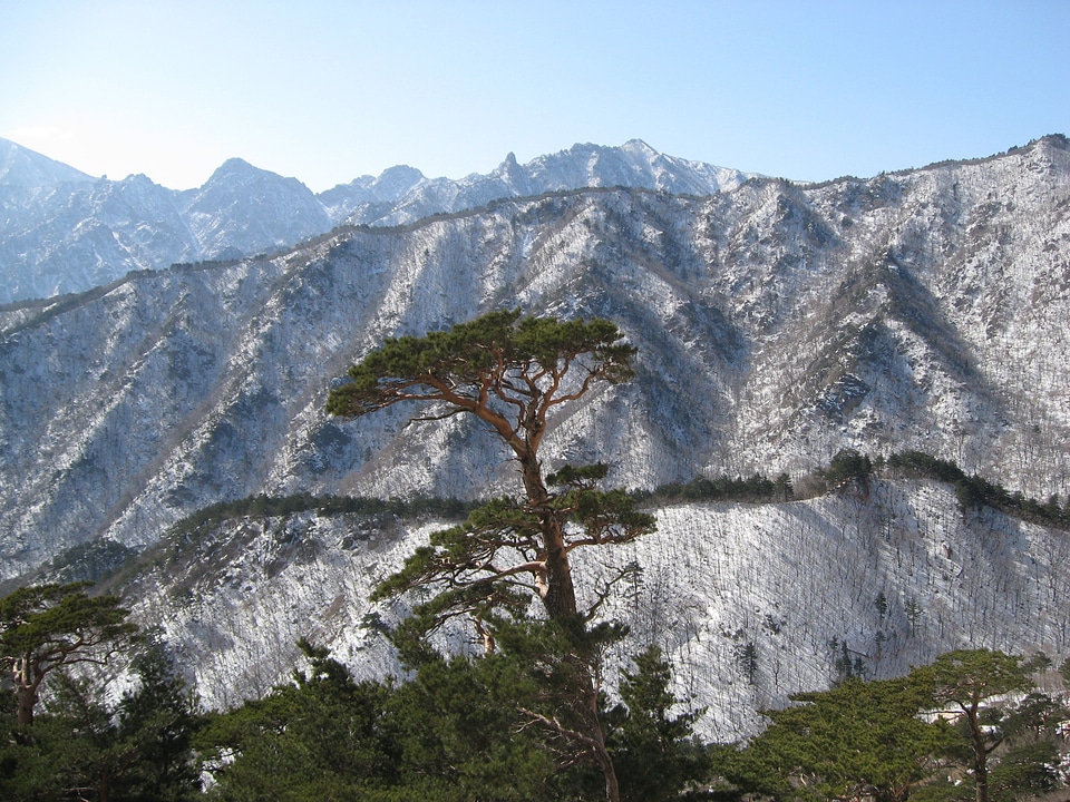 Mt seoraksan snow and rock ulsan rock
