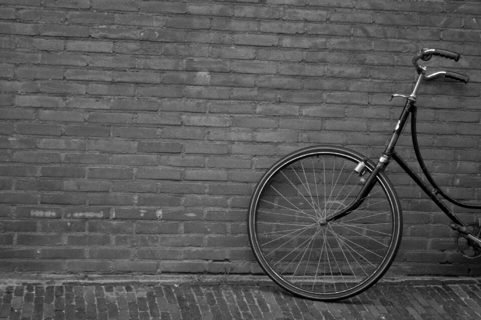 Wall city netherlands