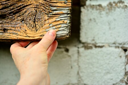 Wood wood plank thumb photo