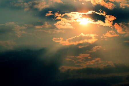 Yellow sun rays morning