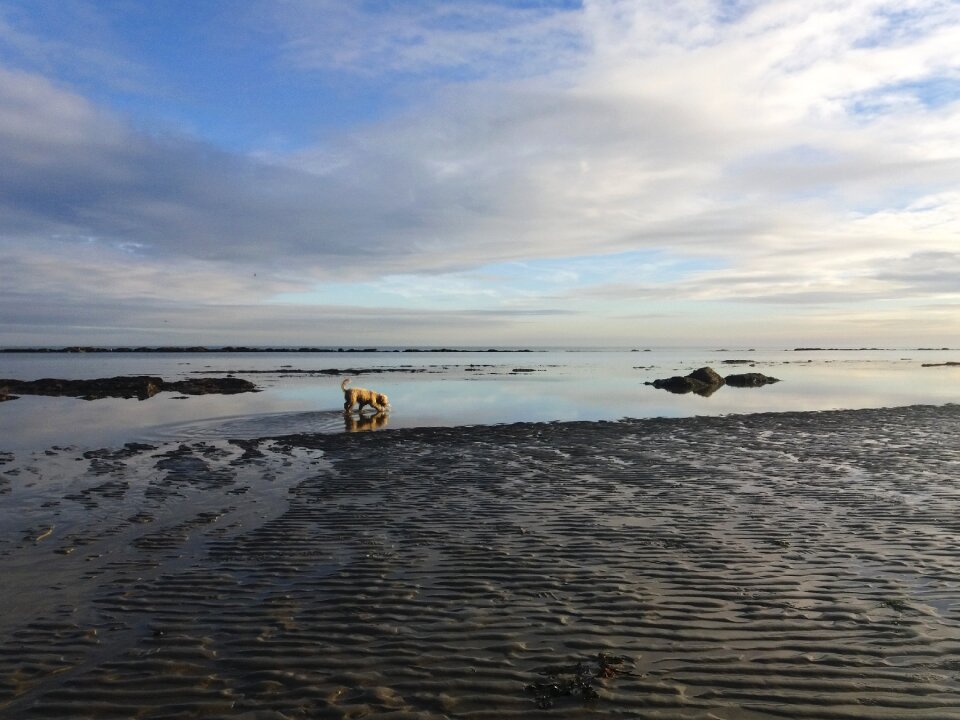 Sea reflection mirror