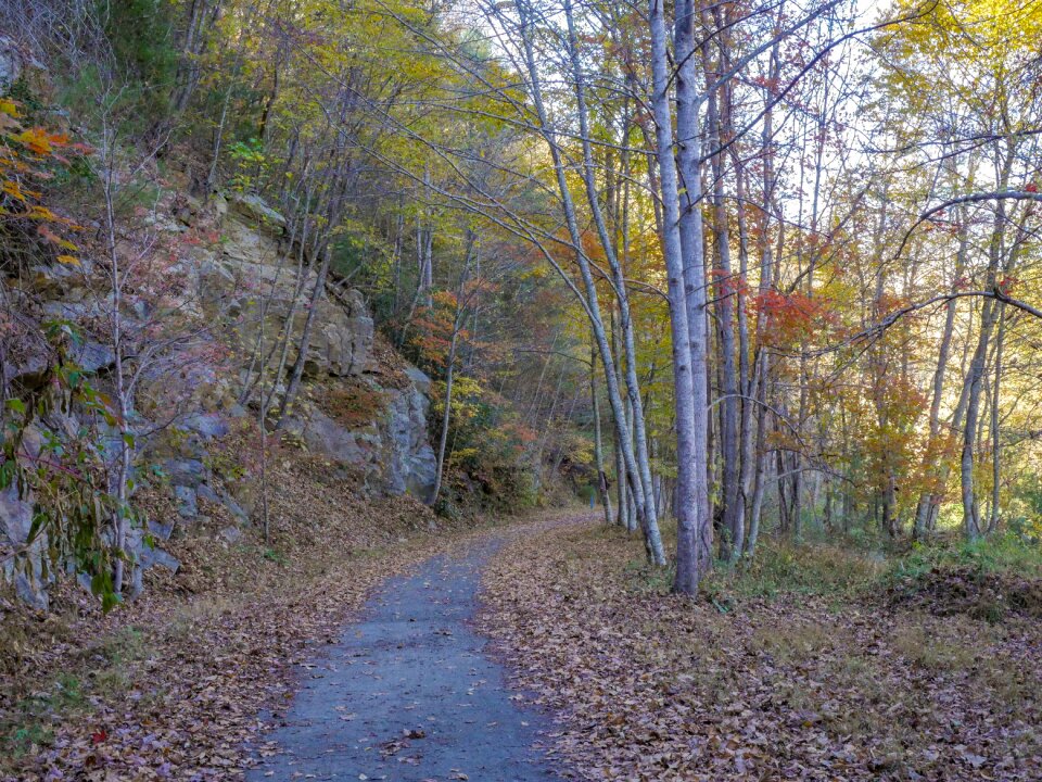 Hiking hike walk