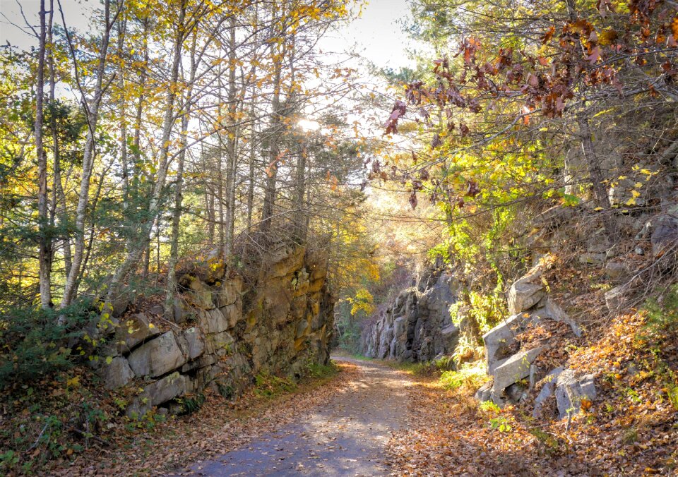 Walking hiking adventure