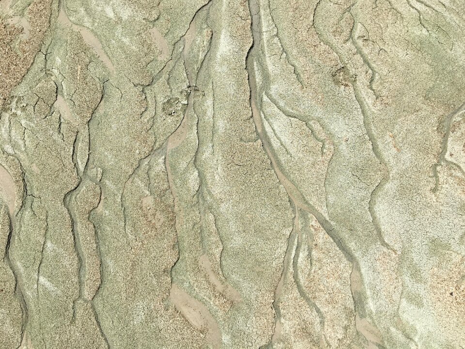 Algae great salt lake imprint